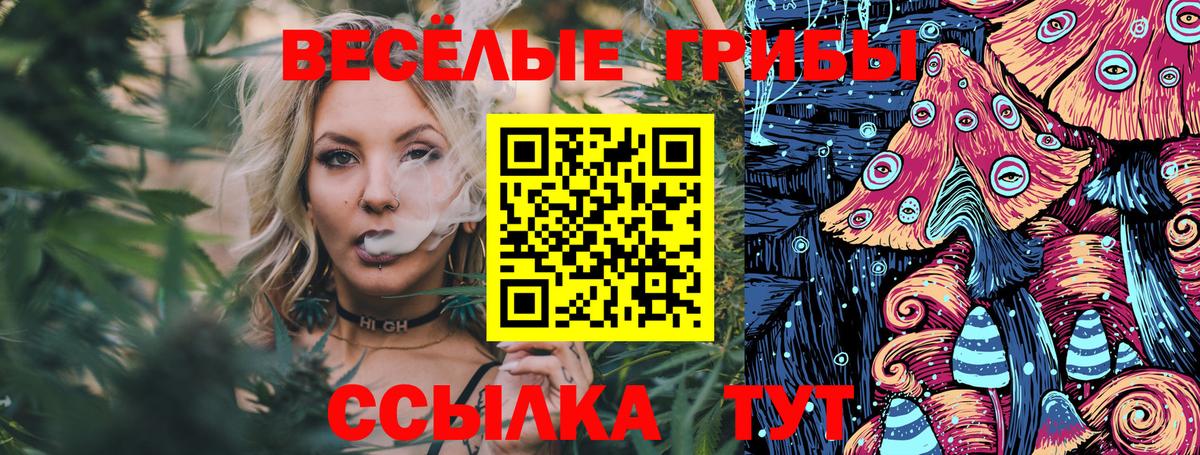 Дивногорск  Галлюциногенные грибы прущие грибы  Вход с VPN 