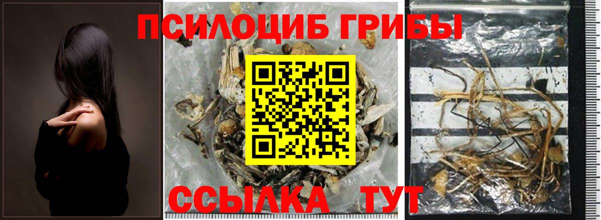 Галлюциногенные грибы прущие грибы Дивногорск